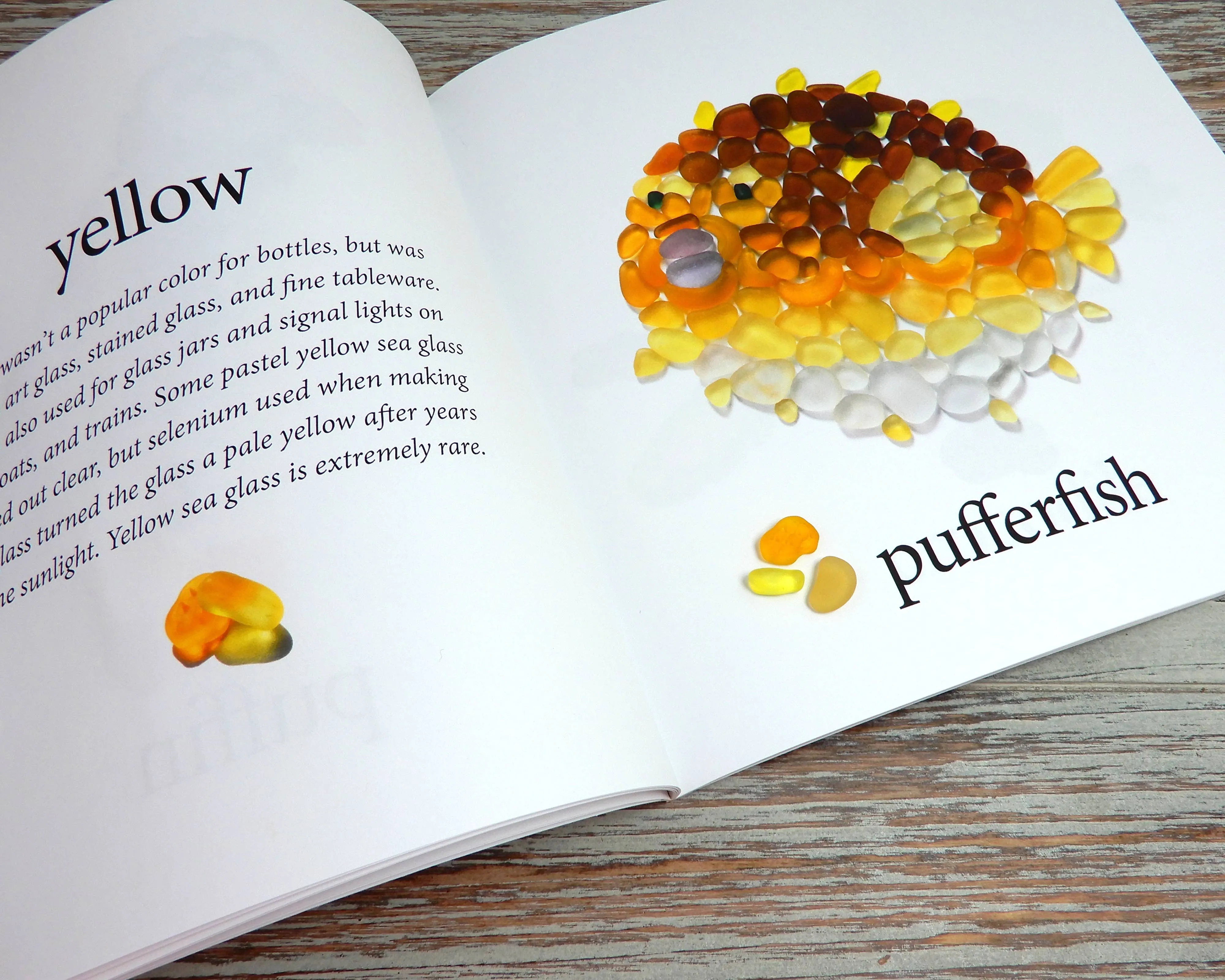 BA - A Sea of Colors Sea Glass Colors Book