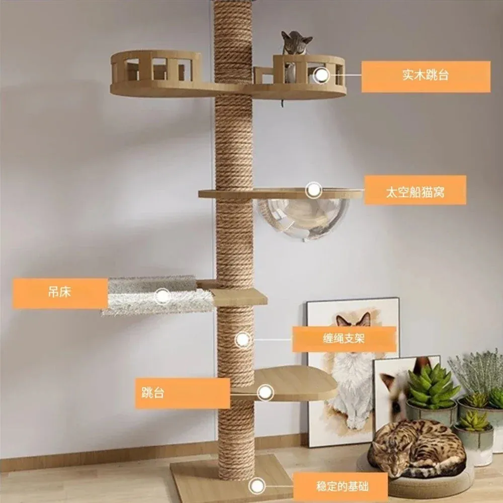 Multi Level Ceiling Cat Tree