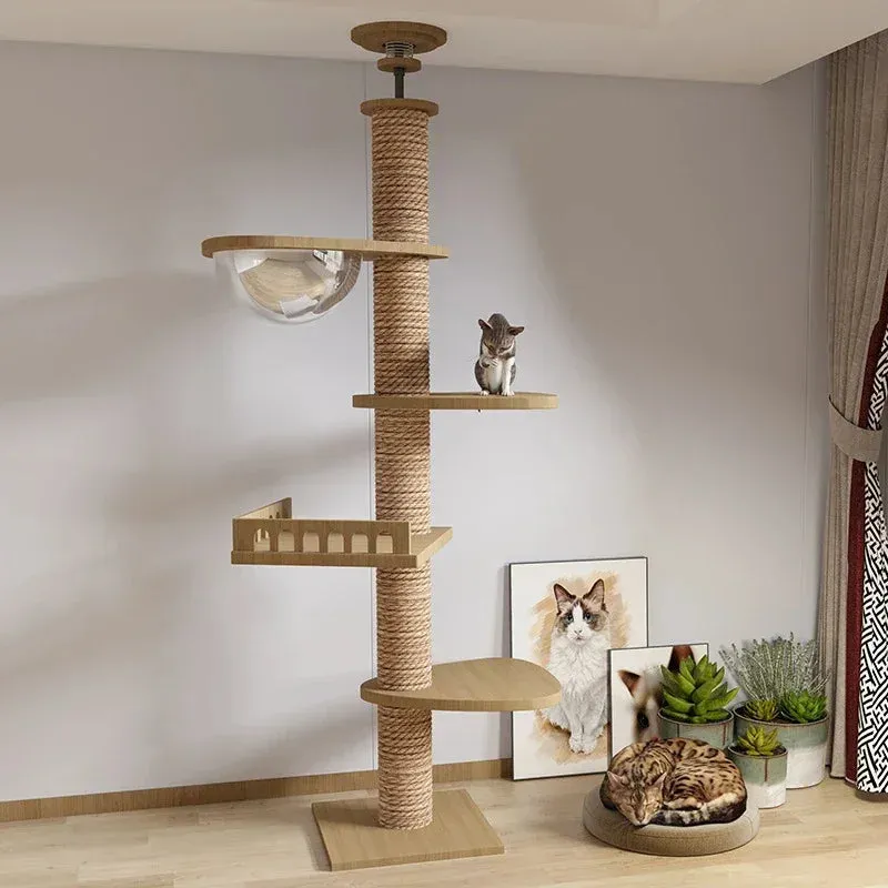Multi Level Ceiling Cat Tree