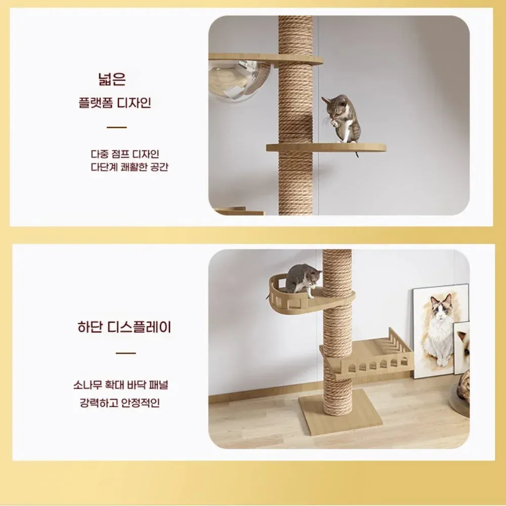 Multi Level Ceiling Cat Tree