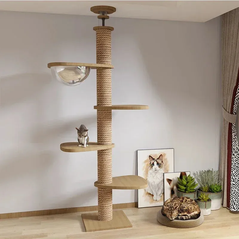 Multi Level Ceiling Cat Tree