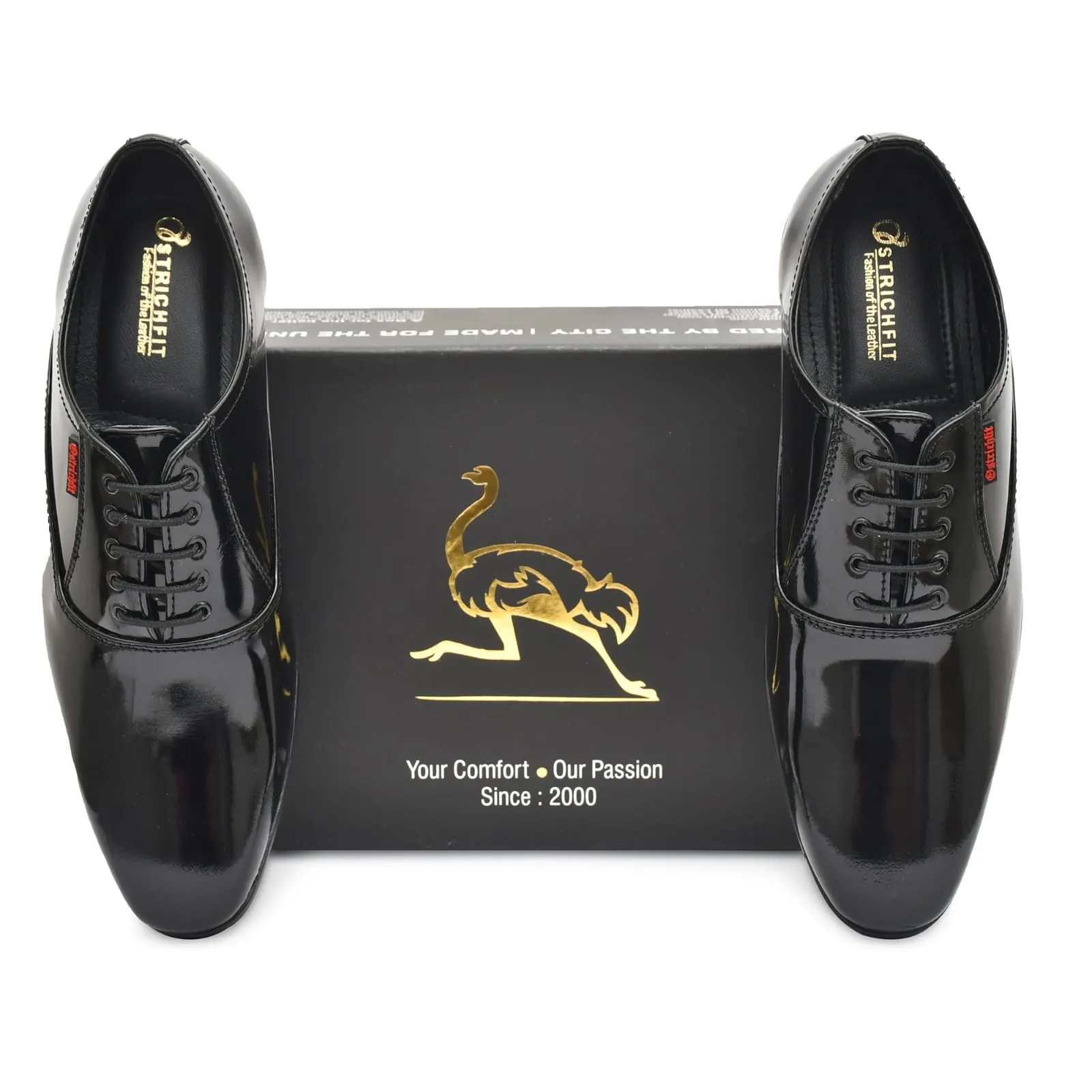Ostrichfit men's lace-up shoes in Leather Black OF-6501 BLK Article no.: 09
