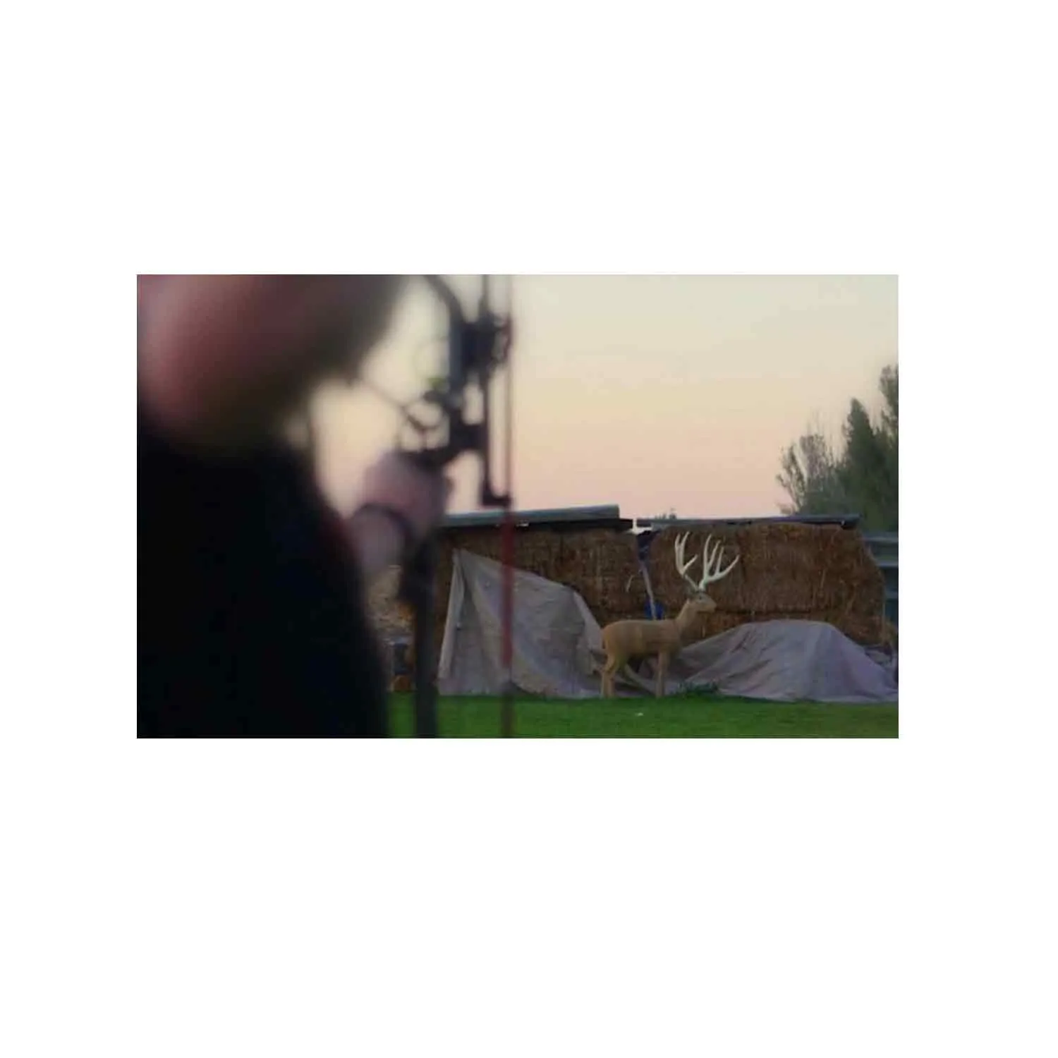 Rinehart Giant Mule Deer Target