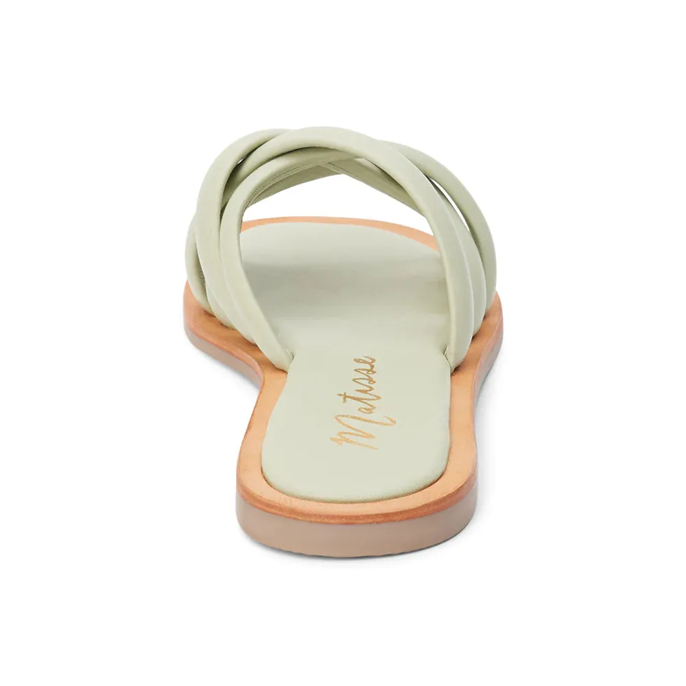 Roy Sandal