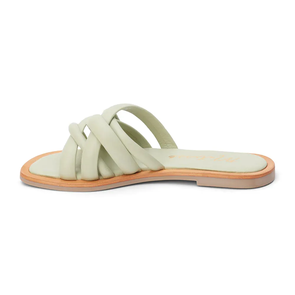 Roy Sandal