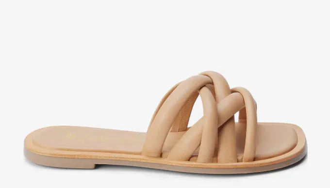 Roy Sandal