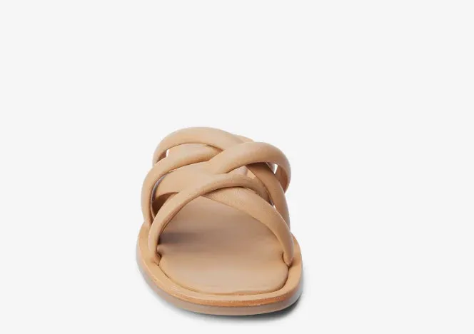 Roy Sandal