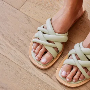 Roy Sandal