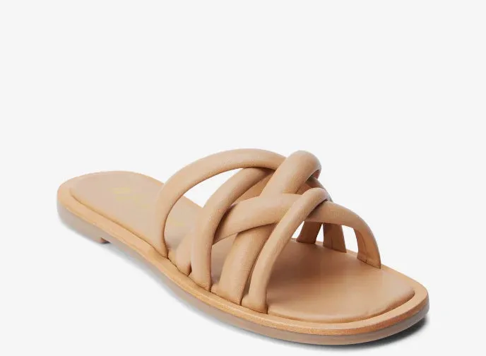Roy Sandal