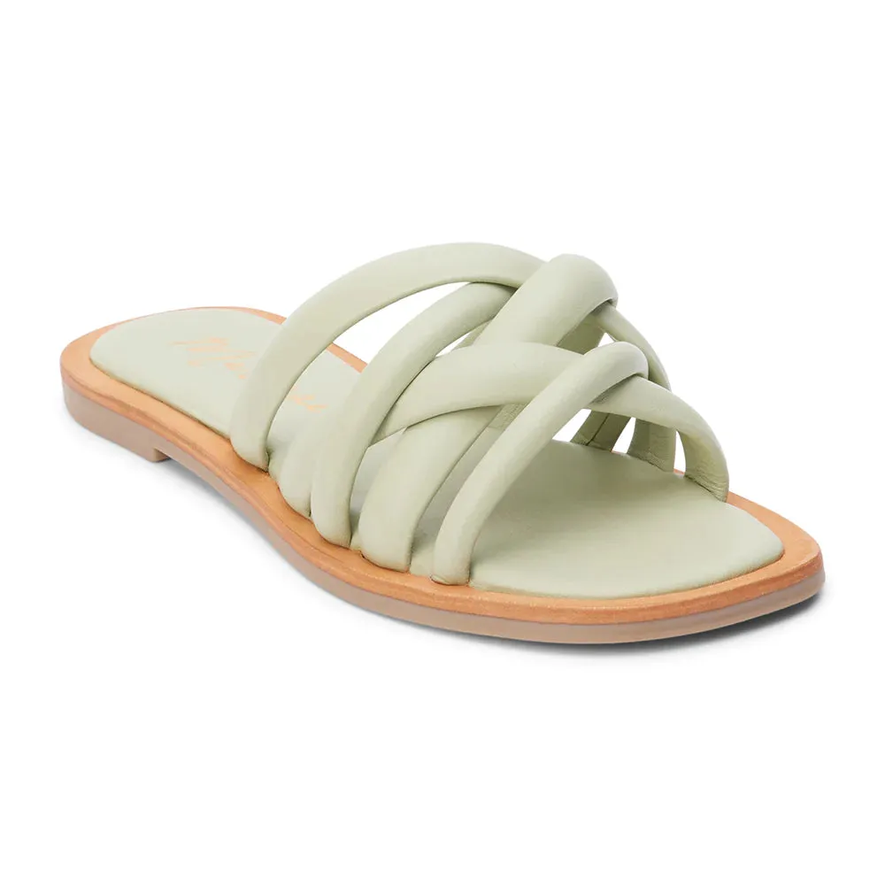 Roy Sandal