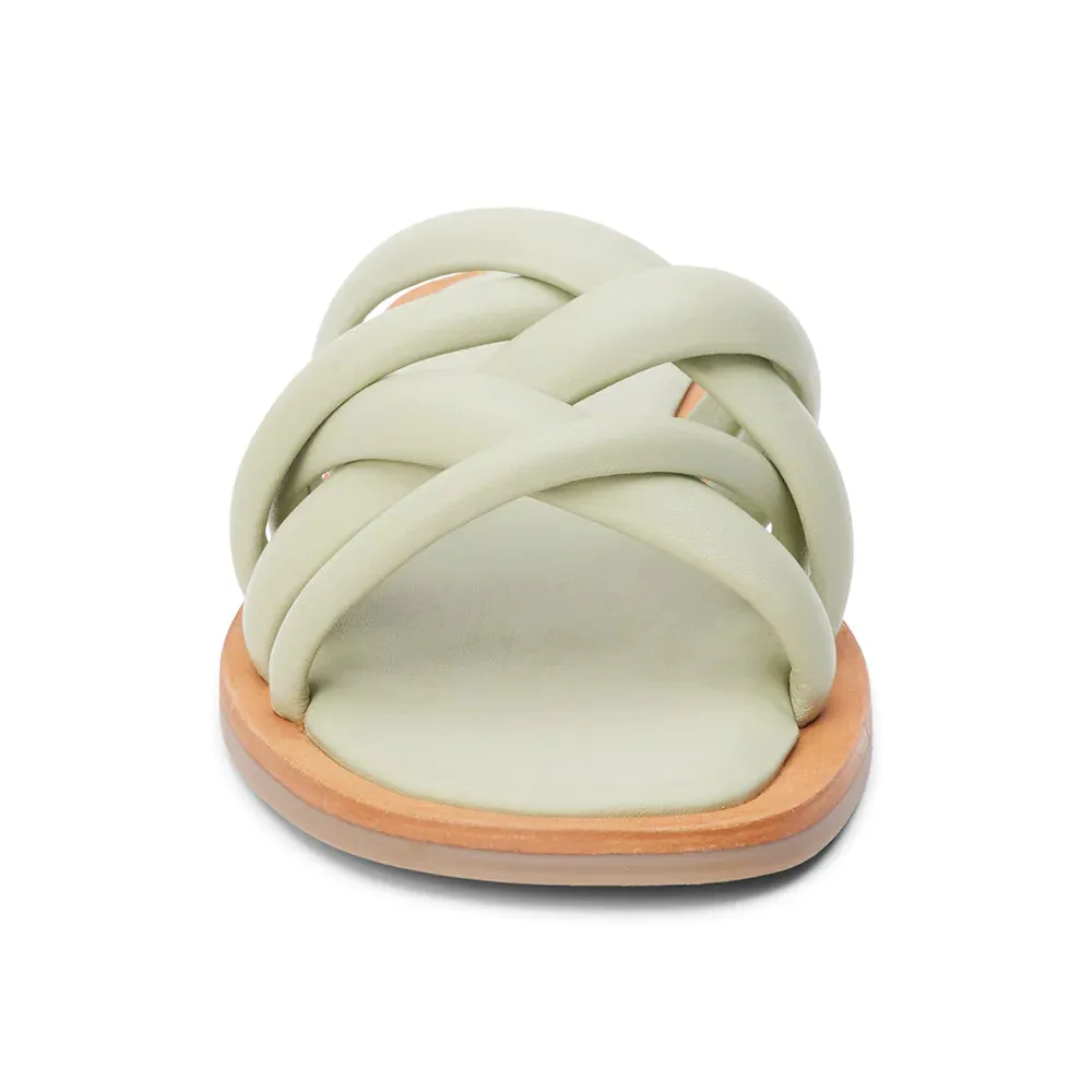 Roy Sandal