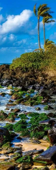 Turtle Beach